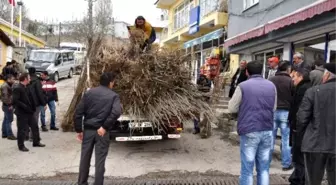 Bursa'dan Tunceli'ye 8 Bin Fidan