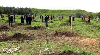 Üniversiteliler Şehitler Adına Ceviz Fidanı Dikti