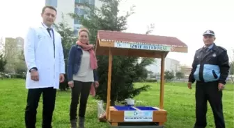 İzmit'te Sokak Hayvanlarını Besleme Noktaları Kuruldu