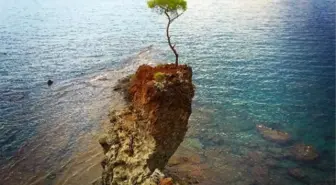 Photoantalya Yarışması Sonuçlandı