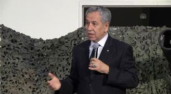 Arınç: 'Türkiye İtibarlı Bir Ülke Olduysa, Bunu Tersine Çevirmemek Lazım'