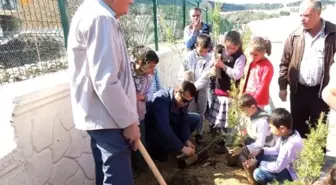 Öğrenciler Okul Bahçesinde 250 Fidanı Toprakla Buluşturdu