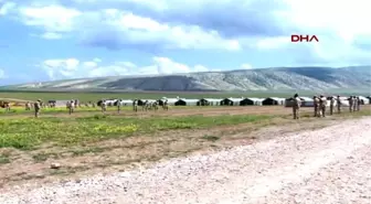 İşte Musul'u IŞİD'den Kurtaracak Türk Askerinin Eğitim Kampı