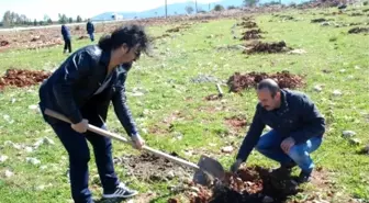 Didim'de Kamu Çalışanları Fidan Dikti