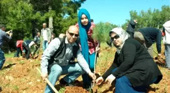 Manavgat'ta Polise Hatıra Ormanı