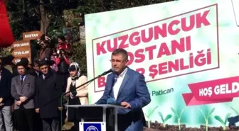 Minik Eller Ektiklerini Biçecek