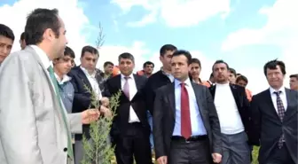 Şehit Savcı Kiraz'ın İsmi Hatıra Ormanına Verildi