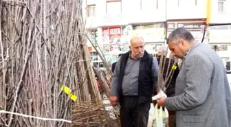 Van'da Fidan Satışları Başladı