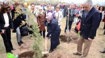 Yeşil Aksaray Çalışmalarına Hanım Eli Değdi