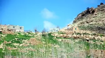 Mardin'de Terör Bitti, Arazi Mafyası Başladı