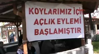 Dalaman Koylar İçin Ölüm Orucuna Devam