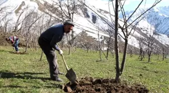 Çözüm Süreci Boşaltılan Köylere Bahar Getirdi