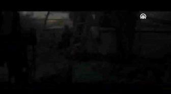 Sinema - 'Hayvan Düşü'
