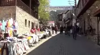 7. Kuzugöbeği Mantar Festivali