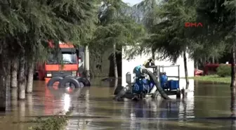 Kocaeli Yağmur Kocaeli'de Dereleri Taşırdı, Fabrikayı Su Bastı