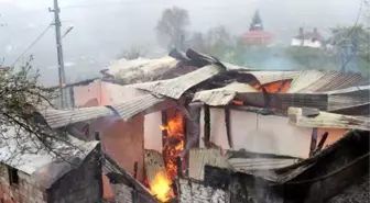 Ordu'da Yangın