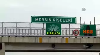 Hdp Mersin Milletvekili Adayı Fırat