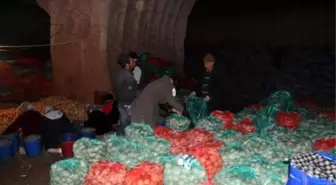 Patateste Karaborsa Yok, Depolarda Ürün Var