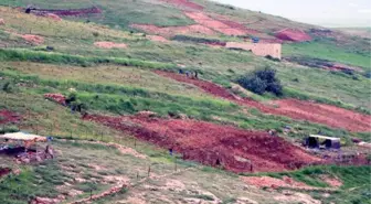 Cudi Dağı'nın Bir Tarafında Kış, Diğer Tarafında Bahar Mevsimi Yaşanıyor