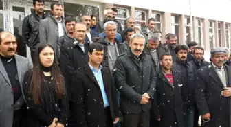 Diyadin Belediyesinin Giriş Camı ile Fidanlar Kırıldı