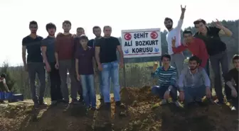 Yenice'de Şehit Ali Bozkurt Korusunun Tabelası Dikildi