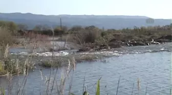 Su Altında Kalan Tarım Arazilerine Yönelik Hasar Tespit Çalışmaları