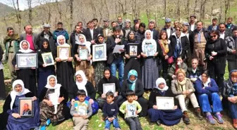 Haytap, Uludere'de Öldürülen Katırlar İçin Suç Duyurusunda Bulundu