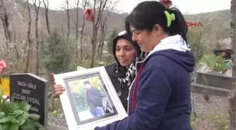 Şırnak Haytap, Şırnak'ta Öldürülen Katırlar İçin Suç Duyurusunda Bulundu