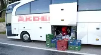 200 Kilo Kuzugöbeği Mantarına El Konuldu