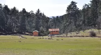 Büyükorhan Kestane, Erik ve Cevizin Merkezi Olacak