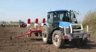 Hatay'da Yer Fıstığı Ekimi Başladı