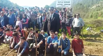 Kutlu Doğum Hatıra Ormanı