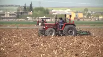 Hububatta Yüzde 35'lik Rekolte Beklentisi