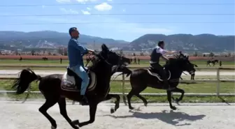 Kütahya'da Düzenlenen 'Hoş Geldin Bahar' Rahvan At Yarışmaları İlgi Gördü