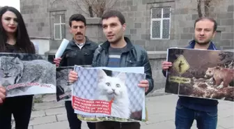 Nesli Tükenen Yaban Hayvanları İçin Seferber Oldular