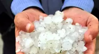 Osmaniye'de Ekili Arazileri ve Meyve Bahçelerini Dolu Vurdu