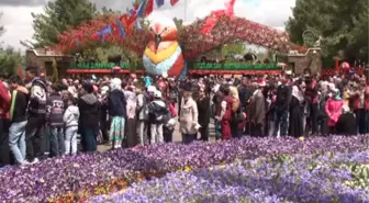 Türkiye'nin İlk Safari Parkı, Gaziantep'te Açıldı