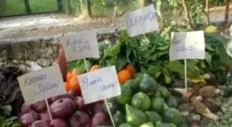 Fethiye Otları İçin Festival