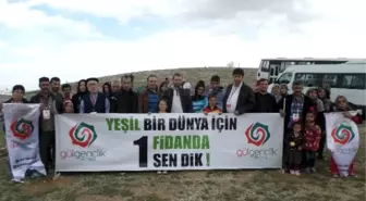 Gül Gençlik Derneği'nden Fidan Dikimi