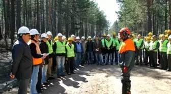 Orman Bölge Müdürlüğü Üretim Tatbikatlarına Başladı
