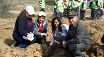 Alpu'daki Kutlu Doğum Ormanına 1444 Fidan Dikildi