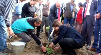 Burdur Gölü'nü 'Lavanta Deresi' Kurtaracak