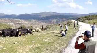 Güney Koreli Turist Hedefine Yönelik Tanıtım