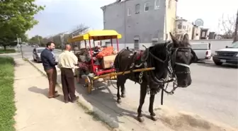 Baltimore Halkı Devletin İlgisizliğinden Şikayetçi