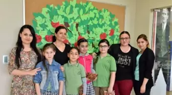 Konyaaltı'nda Öğrenciler Koshim'de Okuyor