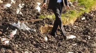 Dar Gelirliye Dağıtılan Kömürler Dere Yatağında