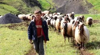 Göçerler, Farşin, Kato ve Herekol Yolunda