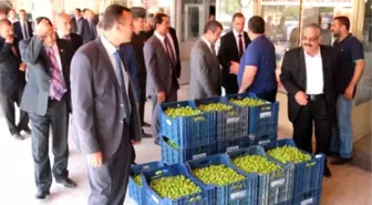 Mut'ta Erik Fiyatları Tırmanışa Geçti