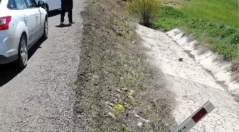 Üniversitelileri Taşıyan Tur Otobüsü Devrildi: 57 Yaralı (3)