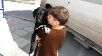 Minik Ömer Faruk'a Hayvan Sevenlerden Destek Geldi